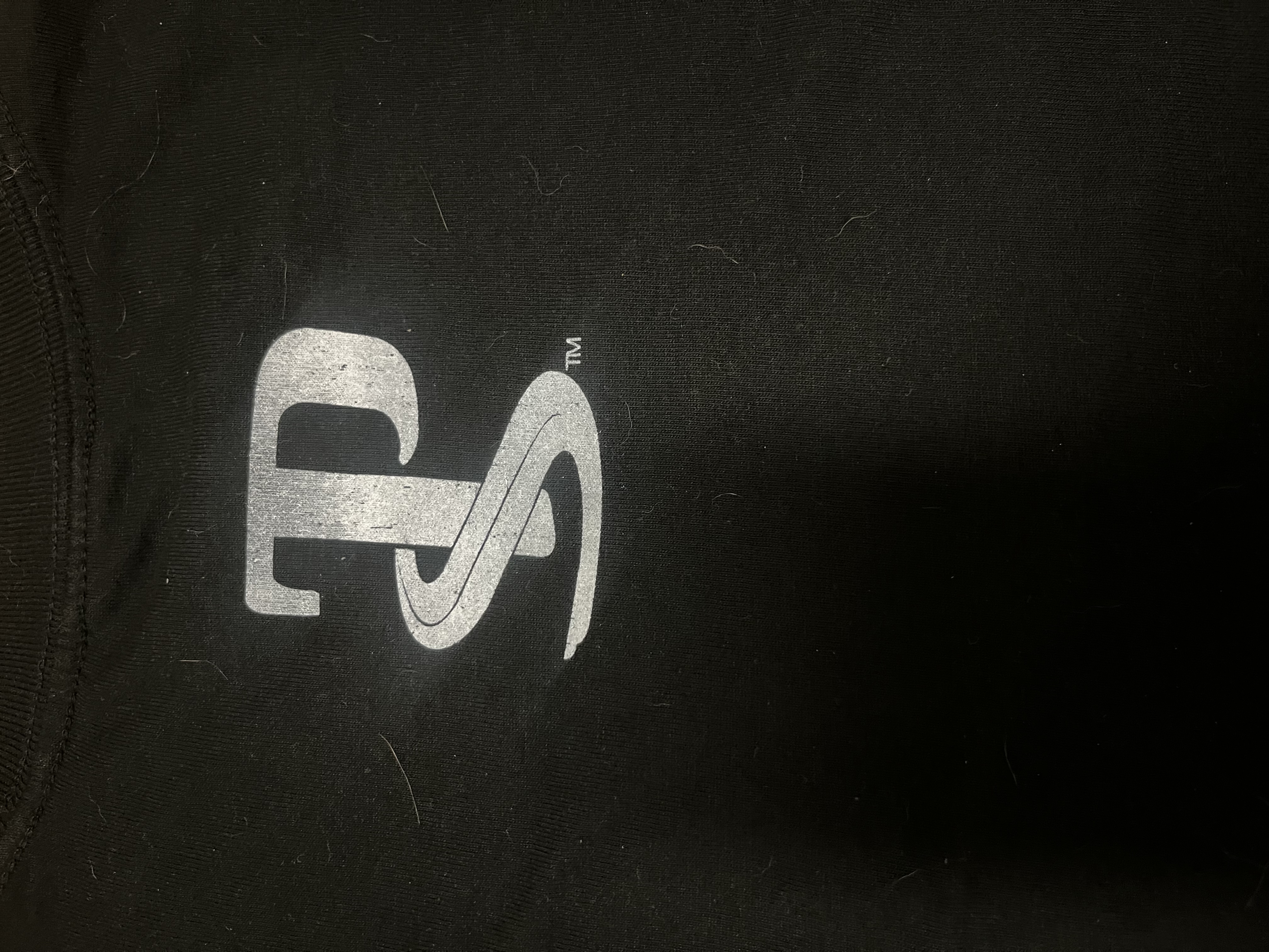 RTPS logo detail